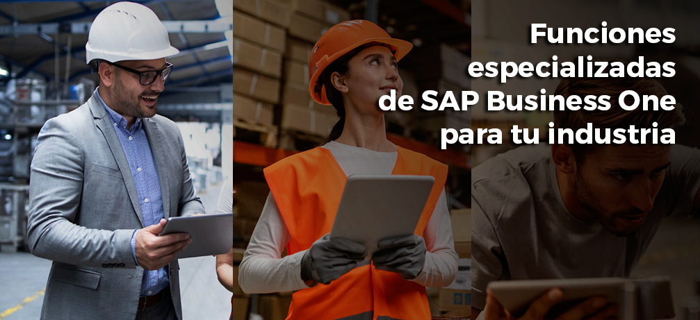 Funciones de SAP por Industria